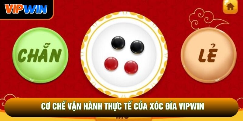 Cơ chế vận hành thực tế của xóc đĩa Vipwin