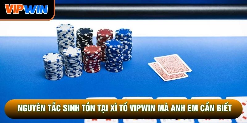 Nguyên tắc sinh tồn tại xì tố Vipwin mà anh em cần biết