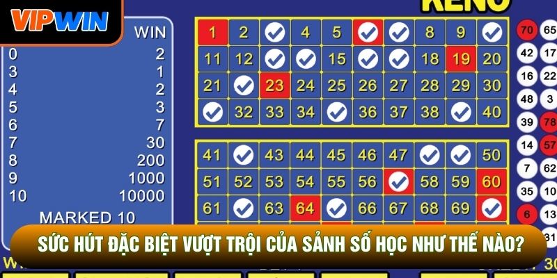 Sức hút đặc biệt vượt trội của sảnh số học như thế nào?